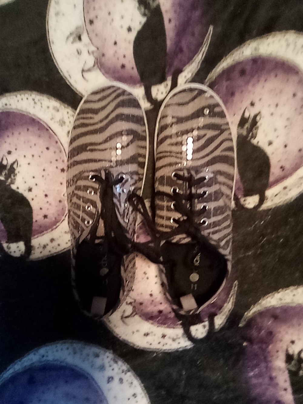Chatties Women's  Zebra Print Sneakers -Sequin Design  Black and Tan